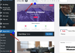Hướng dẫn cài Themes lên website WordPress
