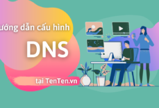 Hướng dẫn cấu hình DNS tại TenTen