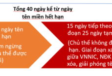 Vòng đời tên miền Việt Nam và Quốc tế – Cập nhật 2022