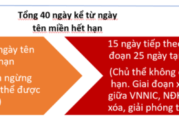 Vòng đời tên miền Việt Nam và Quốc tế – Cập nhật 2022