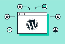 Hướng dẫn upload Core WordPress lên bản mới nhất