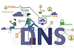 Hướng Dẫn Sử Dụng DNS Setting Trên Secureweb Hosting