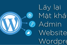 Hướng Dẫn Lấy Lại Mật Khẩu Quản Trị Website WordPress SecureWeb Hosting