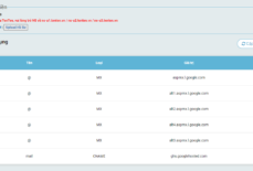 Hướng dẫn DNS Default email Google