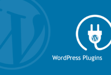 Chặn cài đặt plugin trên WordPress